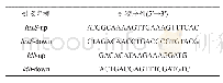 表1 引物序列：诱导Paracin1.7生成的刺激因子的分离与纯化