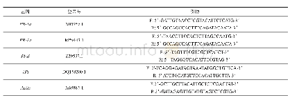 表1 q RT-PCR引物