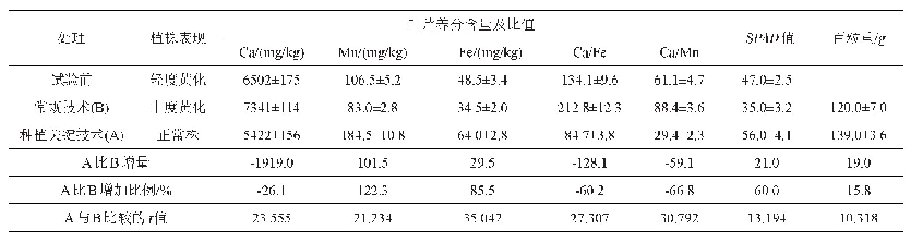 表2‘灿烂’叶片轻度黄化症矫治效果比较