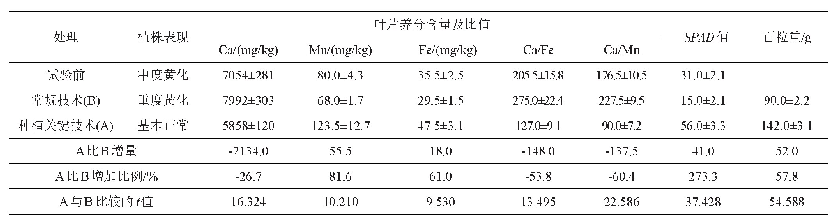 表3‘灿烂’叶片中度黄化症矫治效果比较