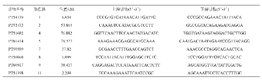表4 SSR引物序列：海南新收集烟草种质资源的鉴定与遗传多样性分析