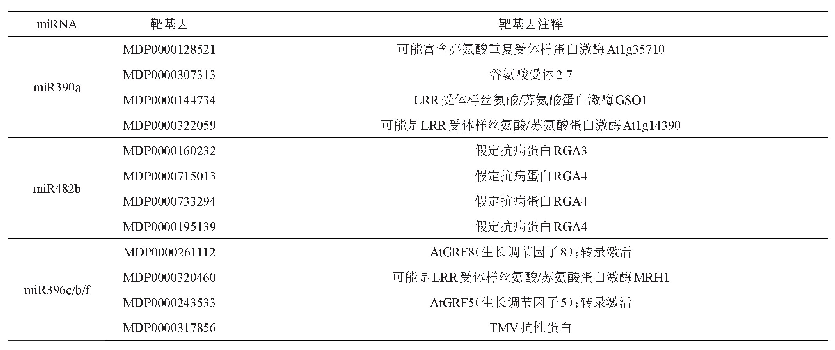 表2 相关靶基因预测：苹果炭疽病抗性miRNA的筛选