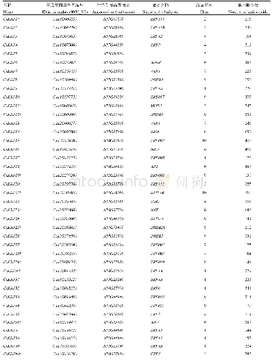 表1 CsERF基因家族相关信息