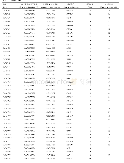 表1 CsERF基因家族相关信息