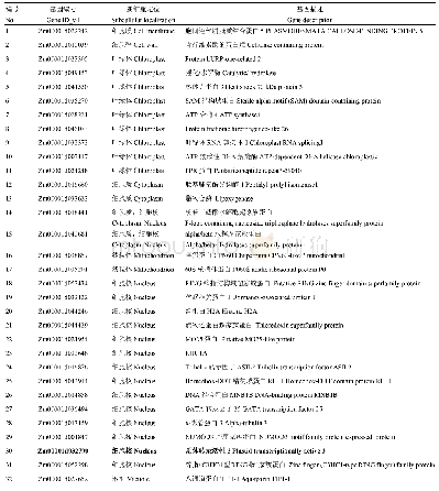 《表4 酵母双杂筛库获得ZmpTAC2的互作蛋白质》