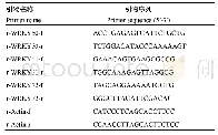 表2 实时荧光定量PCR所用引物序列
