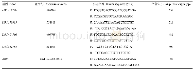 《表1 q PCR引物信息》