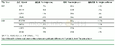 表2 不同夏玉米品种的株高、穗位高