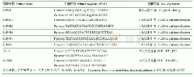 表1 Cc Lhca-J9克隆及实时荧光定量PCR表达引物