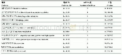 表3 球囊菌ce RNA网络中靶m RNA注释数前12位的KEGG通路