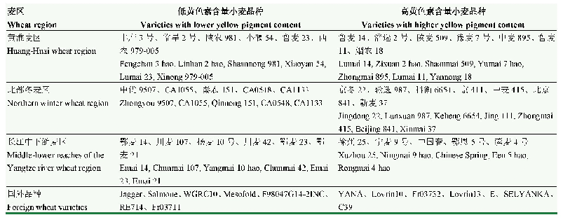 表4 籽粒黄色素含量较低和较高小麦品种