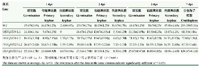 表2 每100个孢子萌发数、初级菌丝数、次级菌丝数和分生孢子梗数统计