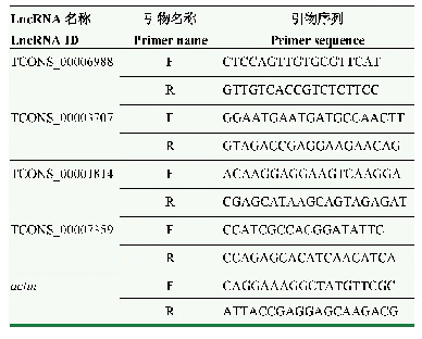 表1 本研究所用的引物：蜜蜂球囊菌菌丝和孢子中长链非编码RNA的比较及潜在功能分析