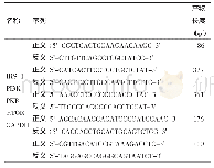 表1 引物序列和产物长度