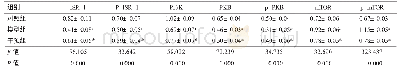 表7 各组大鼠胰腺组织IRS-1、p-IRS-1、PI3K、PKB、p-PKB、mTOR和p-mTOR蛋白水平的比较（n=10)