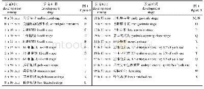 表1 孵化水温 (21.5±0.5) ℃下黄条鰤胚胎发育时序Tab.1 Embryonic development timing of Seriola aureovittata at water temperature of (21.0±0