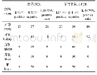表2 常规PCR和单管半巢式PCR临床样品检测