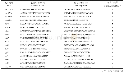 表2 荧光定量PCR引物信息
