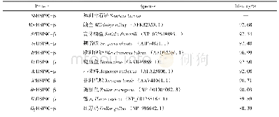 表2 澳洲宝石鲈HSP90-β氨基酸序列同源性分析