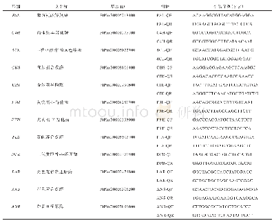 表2 Real-time PCR引物序列