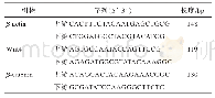 表1 引物序列：复肾功方对慢性肾衰竭大鼠Wnt/β-catenin信号途径的影响