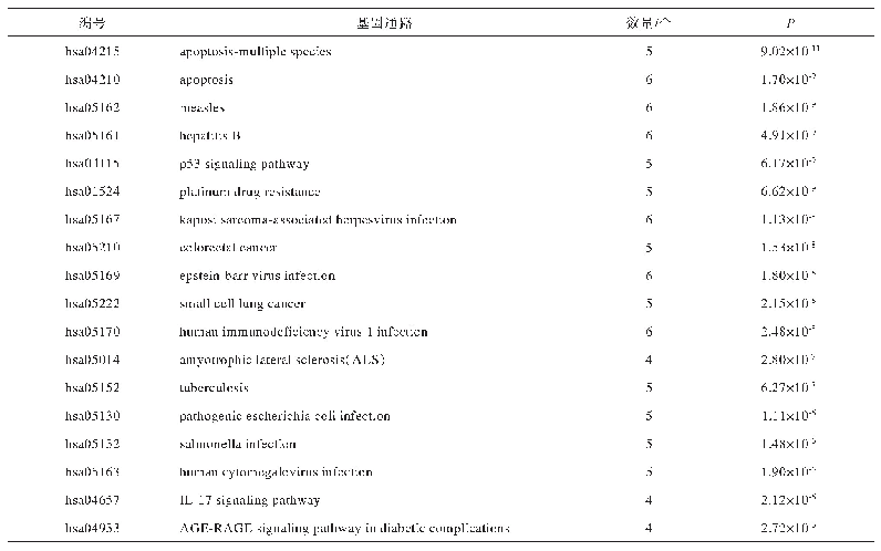 表2 靶点通路富集结果：基于网络药理学探讨威灵仙-天花粉药对抗癌的作用机制