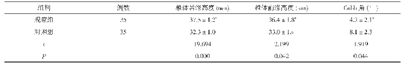 表2 两组椎体前后缘高度与Cobb角比较(±s)