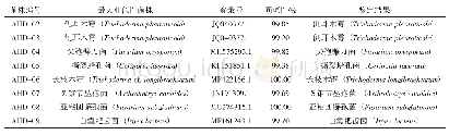 表3 基于ITS序列系统发育树分析表