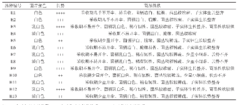 表5 白玉菇商品性状：适宜区域栽培的白玉菇高产菌株筛选评价