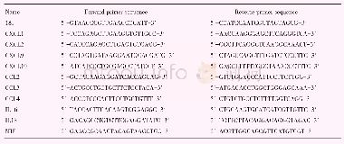 表1 小鼠qRT-PCR引物序列信息