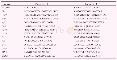 表2 被测基因引物序列信息