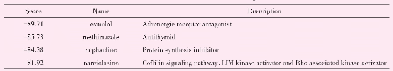 表3 CMap预测结果：基于生物信息学途径筛选缺血性脑卒中关键基因及药物预测