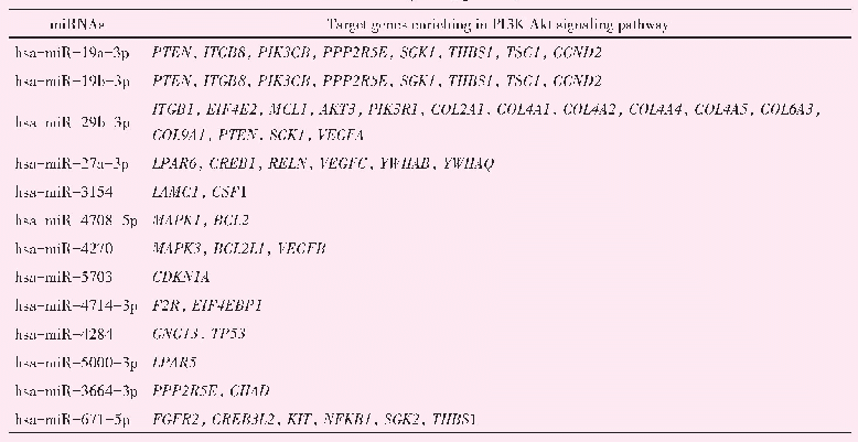 表2 小胶质细胞外泌体中差异表达的mi RNAs及其相应的富集于PI3K-Akt信号通路的靶基因