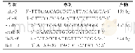 《表1 目的基因引物序列及预扩增产物》