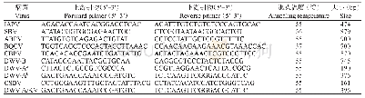 表1 已知6种蜜蜂病毒9个株型的PCR检测引物
