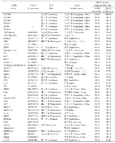 表4 本研究获得的ORSV分离物与GenBank中其它ORSV分离物的cp基因序列相似性比较