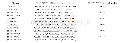 表1 PCR扩增所用引物及预期目的片段长度