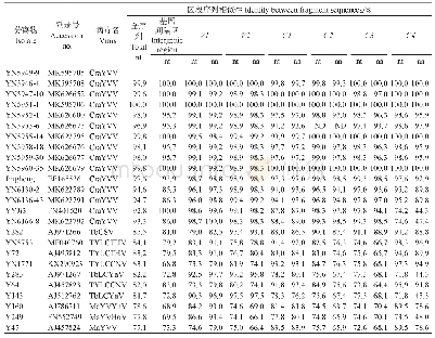 表1 分离物YN5949-9与来自云南省的CraYVV分离物及其它菜豆金色花叶病毒属病毒的核苷酸及氨基酸相似性