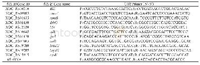 表1 q RT-PCR基因信息和引物序列