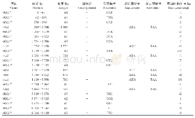 表1 花斑皮蠹线粒体基因组注释Tab.1 Annotation of the mitochondrial genome of Trogoderma variabile