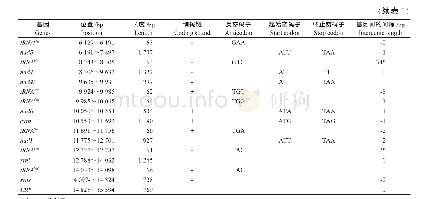 《表1 花斑皮蠹线粒体基因组注释Tab.1 Annotation of the mitochondrial genome of Trogoderma variabile》