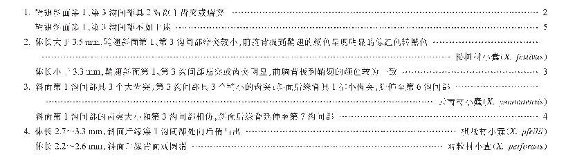 中国大陆材小蠹属（Xyleborus）分种检索表