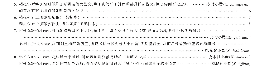 中国大陆材小蠹属（Xyleborus）分种检索表