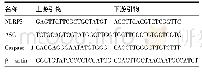 表1 引物序列(5'-3')