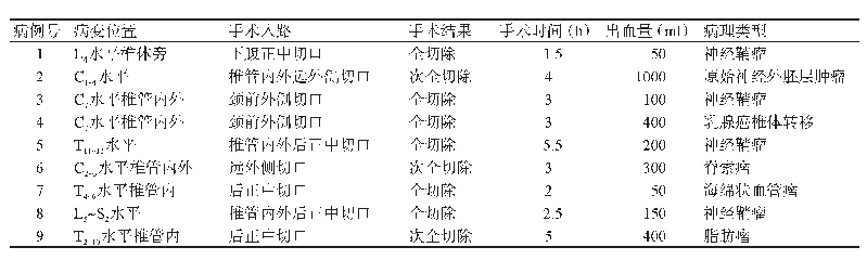 表1 3D打印技术辅助脊柱脊髓神经外科手术的病例资料