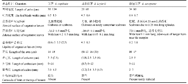 表1 西北针茅、针茅和新疆针茅形态特征区别(Gudkova et al.,2017)