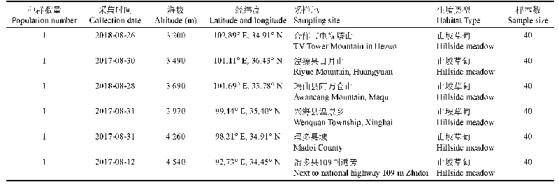 表1 狮牙草状风毛菊采样地概况