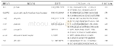 《表1 7个候选内参基因的引物信息》