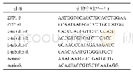 表1 实时荧光定量RT-PCR引物序列