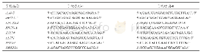 表1 qRT-PCR所使用引物序列